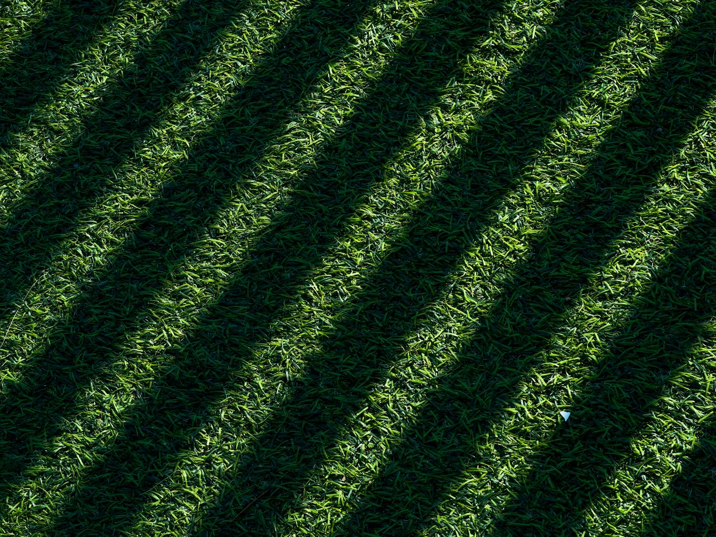 Diagonal mowing stripes across a residential lawn in late-afternoon hill-country light.