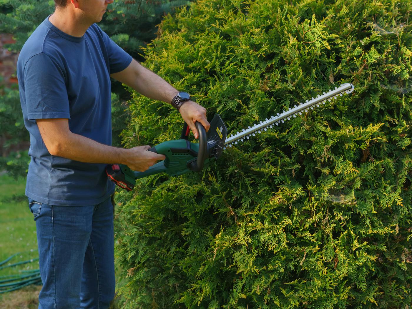 Operator shaping a boxwood hedge with a hedge trimmer along an entry walk.